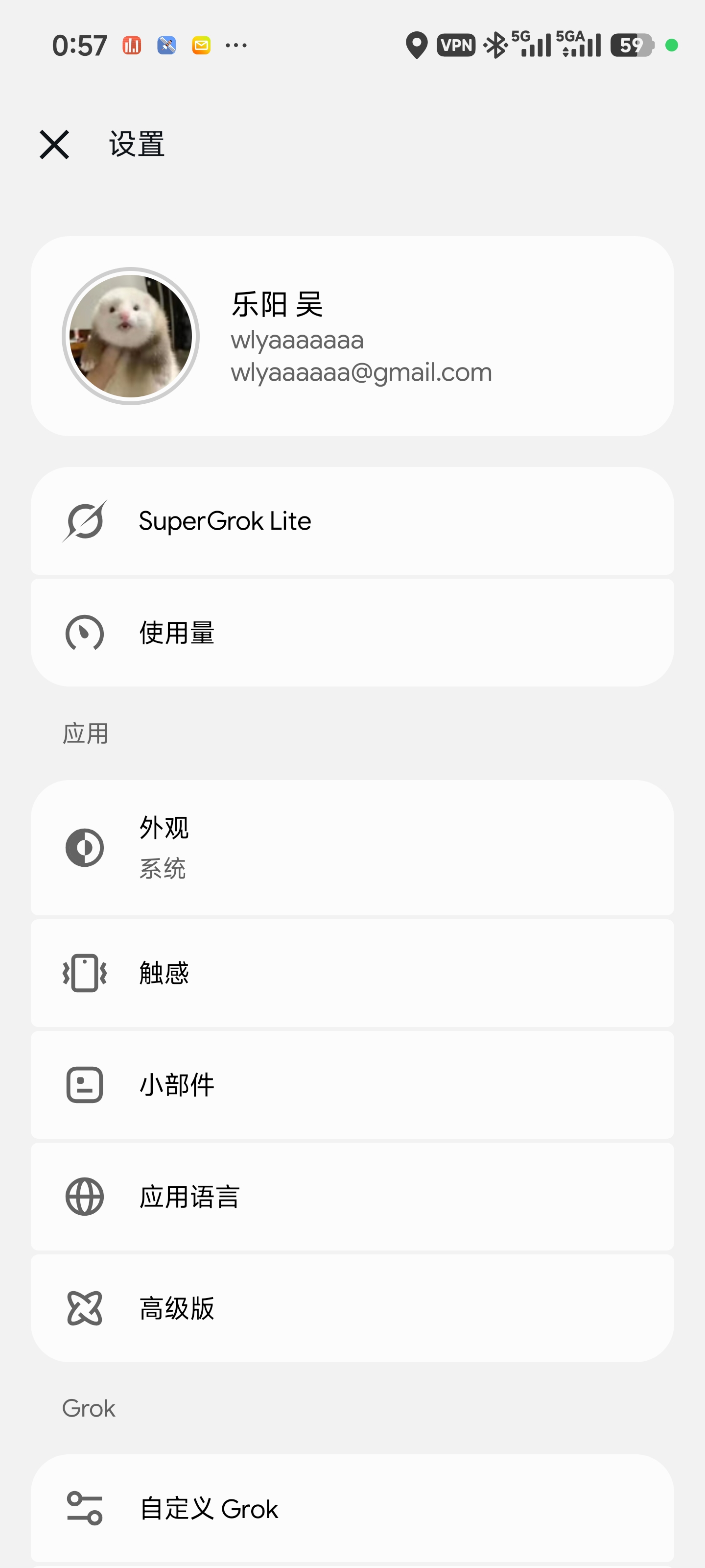 Grok 的 SuperGrok Lite 订阅界面，没有累计 token 数。